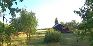 a barn in the middle of a field with trees at Kemp pro karavan a stan s chatkou in Veselí nad Moravou