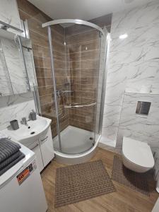 a bathroom with a shower and a toilet and a sink at Taikos apartamentai in Utena