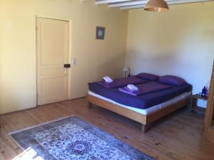 a bedroom with a bed and a door and a rug at Mondeslandhaus in Courrensan