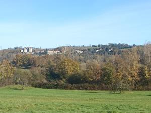 a green field with trees and houses in the background at Mondeslandhaus in Courrensan