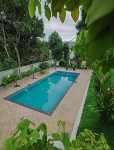a swimming pool in the middle of a yard at Leal Resort-Wayanad in Meppādi