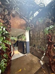 an entrance to a house with plants on the walls at Ohana in Coron