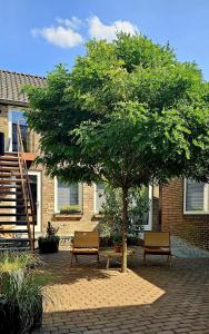 a tree in front of a building with two benches at Auberge A gen Kirk B&B in Vijlen