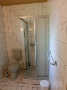 ein Bad mit einer Dusche und einem WC in der Unterkunft Ferienhof Riensheide Soltau in Soltau