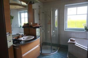 a bathroom with a shower and a sink at Ferienwohnung Heidi in Mariapfarr +6 photos