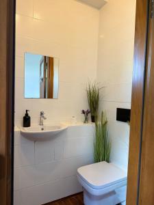 a bathroom with a sink and a toilet and a mirror at agroOBERIBA in Płatkownica