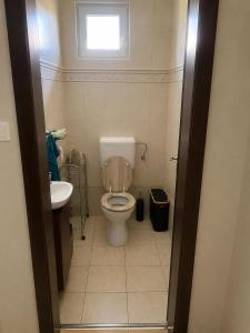 a small bathroom with a toilet and a sink at 21 Star Residence in Darnózseli +14 photos