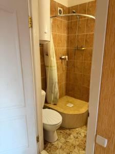 a bathroom with a shower with a toilet and a sink at Миндаль in Zatoka