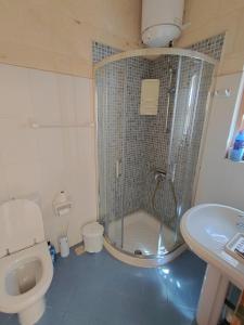 a bathroom with a shower and a toilet and a sink at Il- Pellikan Farmhouse in Għajnsielem +10 photos