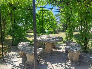 a stone table and benches under a tree at Rosales Collection Vacation Villa in Medina de Pomar