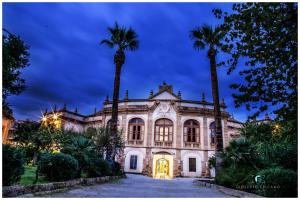 an old mansion with palm trees in front of it at La Dimora dei Paladini in Bagheria
