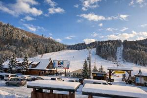 a ski resort with a snow covered ski slope at Apartmán Alica Tále in Bystrá