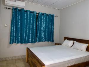 a bedroom with a bed and a blue curtain at Belle view Villa in Serekunda