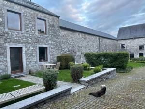 a cat sitting in front of a stone building at Private room with shared bathroom in Clavier