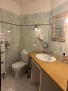 a bathroom with a toilet and a sink at Le Relais des Templiers in Villecroze