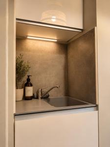 a kitchen with a sink and a sink at l'Ecrin Bellevue in Aix-les-Bains +15 photos