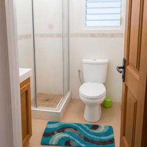 a bathroom with a shower and a toilet with a rug at Charming Apartment in La Savane, 65 sqm with Terrace in Happy Bay