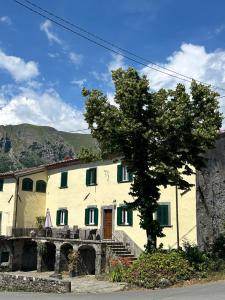 ein weißes Haus mit grünen Fensterläden und einem Baum in der Unterkunft Palazzo Modafi in Bagni di Lucca