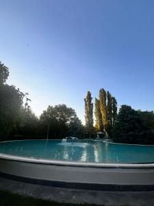 a large swimming pool in a park with trees at Арев in Yerevan