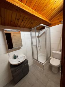 a bathroom with a shower and a toilet and a sink at Seesen Private Lodge in Seesen