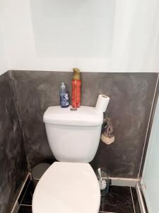 a bathroom with a white toilet in a room at Charmant studio avec terrasse à Chenou, 20 m² in Chenou