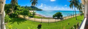 a view of a beach with palm trees and the ocean at Studio confortable avec vue sur la mer in Le Gosier