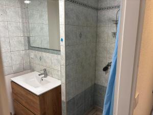 a bathroom with a sink and a shower at City Saint-Louis in Saint-Louis