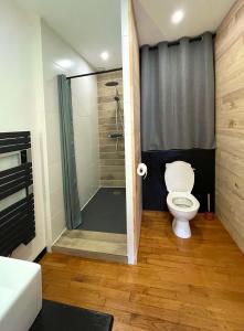 a bathroom with a toilet and a shower with a shower curtain at Emmanon - Appartement in La Coquille