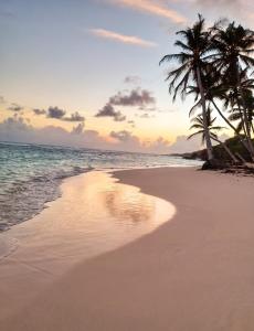 a beach with two palm trees and the ocean at Studio confortable à Capesterre-de-Marie-Galante - 20 m² in Capesterre