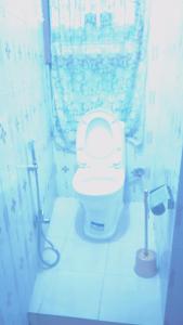 a bathroom with a toilet in a blue room at Local feeling in Nepal in Bhaktapur +16 photos