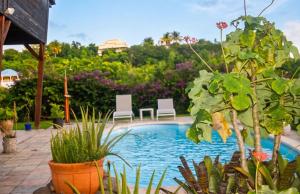 a pool with chairs and plants in a yard at Villa cosy avec piscine privée - Le Gosier. in Le Gosier