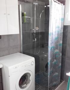 a washing machine in a bathroom with a shower at Maison charmante à San-Nicolao avec piscine partagée in San-Nicolao +5 photos