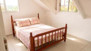 a bedroom with a bed and two windows at Appartement confortable à Capesterre, 40 m², jardin agréable in Rabi +5 photos