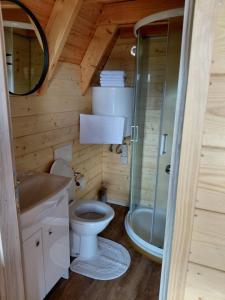a small bathroom with a toilet and a shower at Glamping Čelig in Donja Višnjica