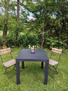 a black table and two chairs with flowers on it at Villa Harmony Tianeti in Tʼianetʼi