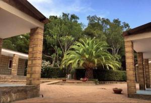 a palm tree in the middle of a courtyard at Campeggio 2 Mari in Ovile la Marinella