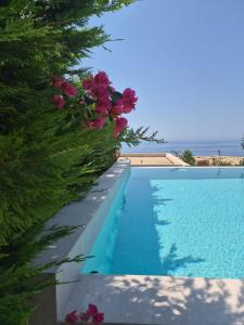 a swimming pool with pink flowers next to the ocean at Vila IL SOLE GREEN COAST in Palasë +19 photos