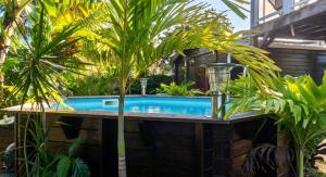 a swimming pool in a garden with plants at Maison cosy avec piscine partagée à Capesterre-Belle-Eau in Besnard