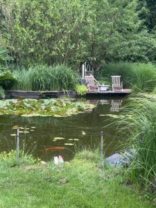 two chairs sitting on a dock in a pond at logies 2460 in Kasterlee