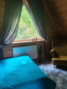 a bedroom with a bed and a window at Domek MAGELLAN Cisna 11 in Cisna