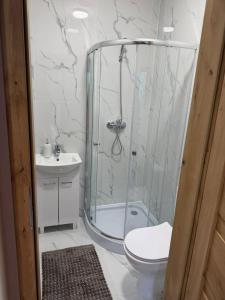 a bathroom with a shower and a toilet and a sink at Hostel in Piotrków Trybunalski