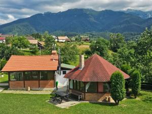 a house with a red roof on a green field at Casa Bradul Inalt in Sohodol