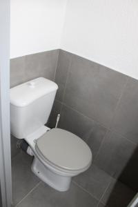 a bathroom with a white toilet in a room at Appartement 239 Les Salicornes in Arles