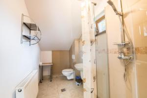 a small bathroom with a toilet and a shower at Casa Bradul Inalt in Sohodol +12 photos