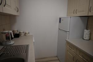 a kitchen with a white refrigerator and a sink at Apartma Mija - XL in Kornić