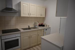 a kitchen with white cabinets and a sink at Apartma Mija - XL in Kornić +15 photos
