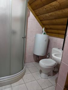 a bathroom with a toilet and a shower and a sink at Деревянный домик in Dolinka