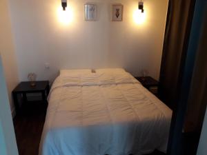 a bed in a bedroom with two nightstands and two tables at cosy à Blois in Blois