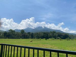 a horse in a field with mountains in the background at Mystical Hidden Farmhouse in Camiguin