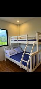 two bunk beds in a room with a window at Mystical Hidden Farmhouse in Camiguin
